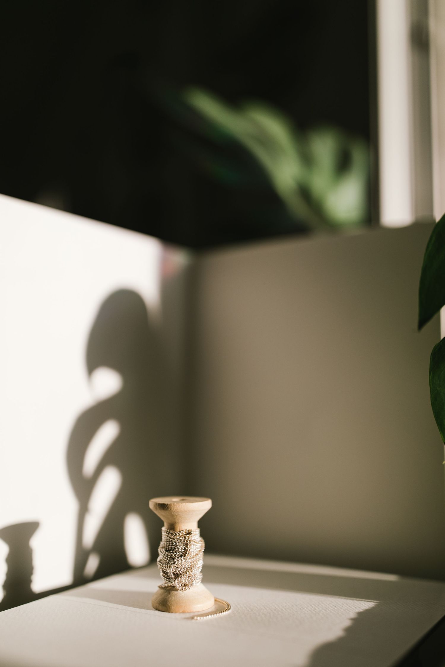 A vintage-style spool with plants casting shadows against a minimalist wall.