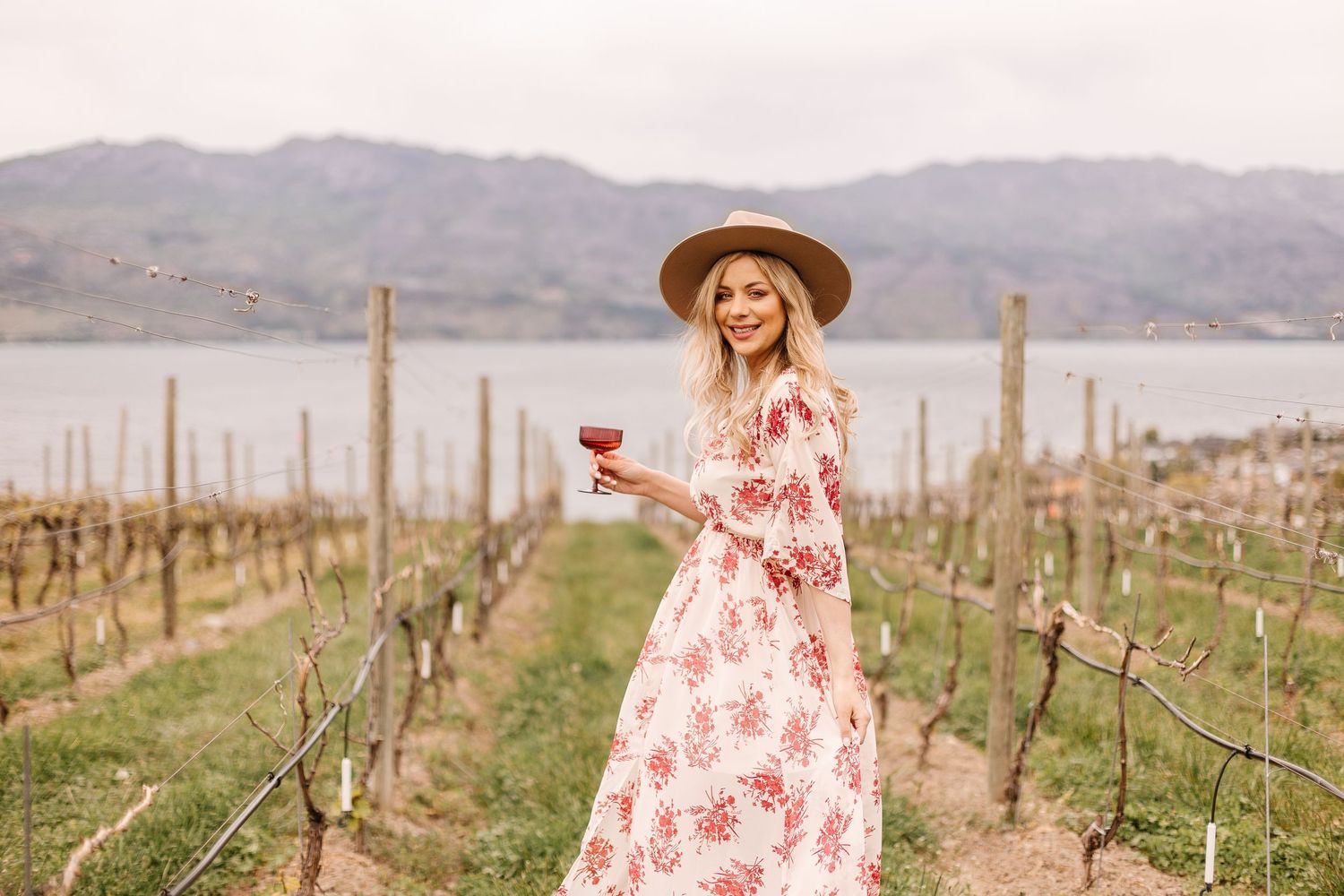 A scenic vineyard landscape with rows of grapevines stretches towards distant mountains on a sunny day.