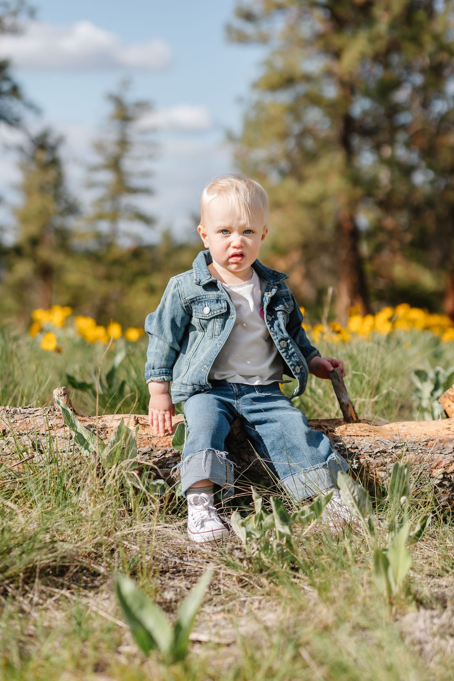 A young child sits on a log in a sunny outdoor setting with yellow wildflowers blooming in the background.