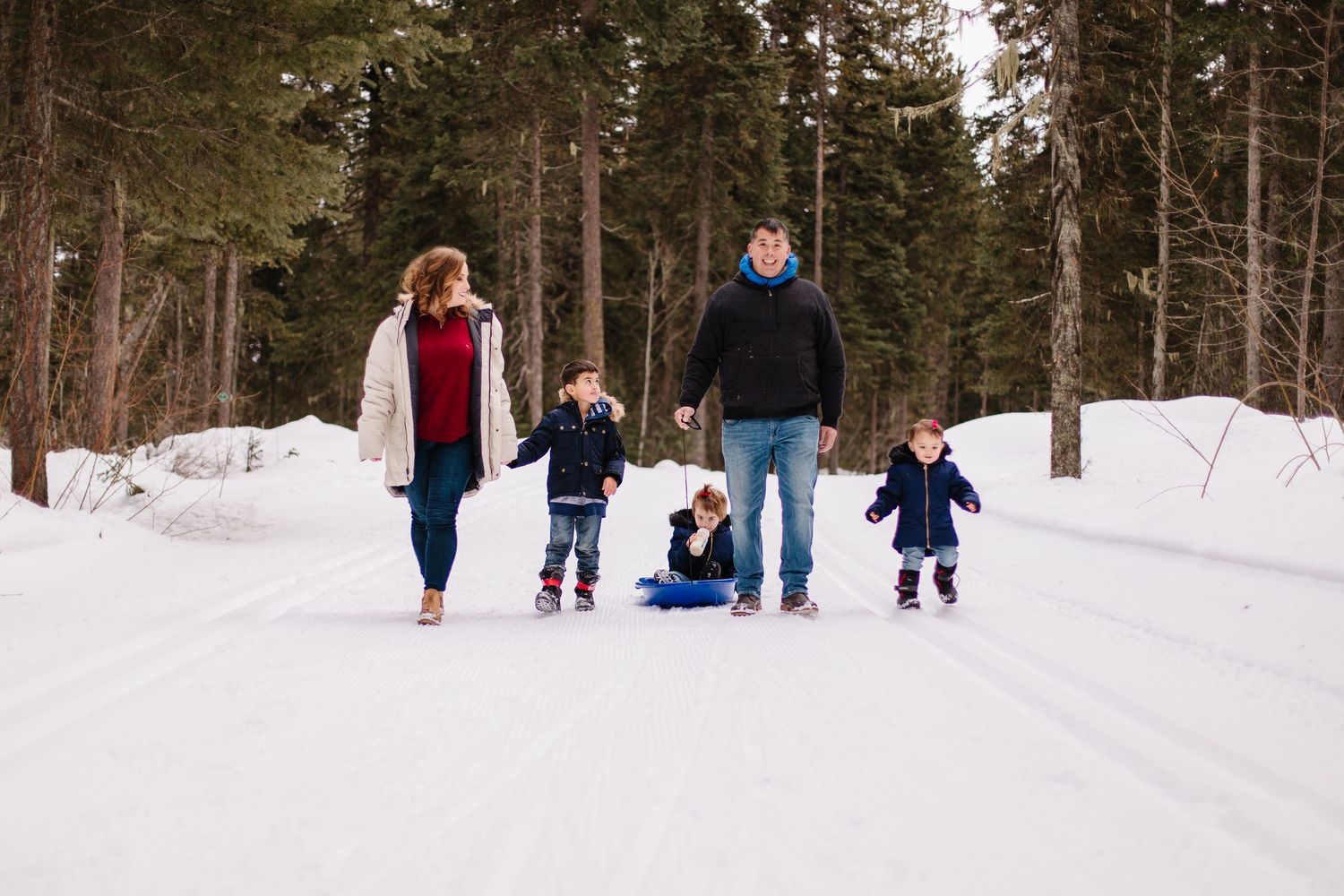 People enjoying winter activities on a snowy trail through a pine forest on a bright day.