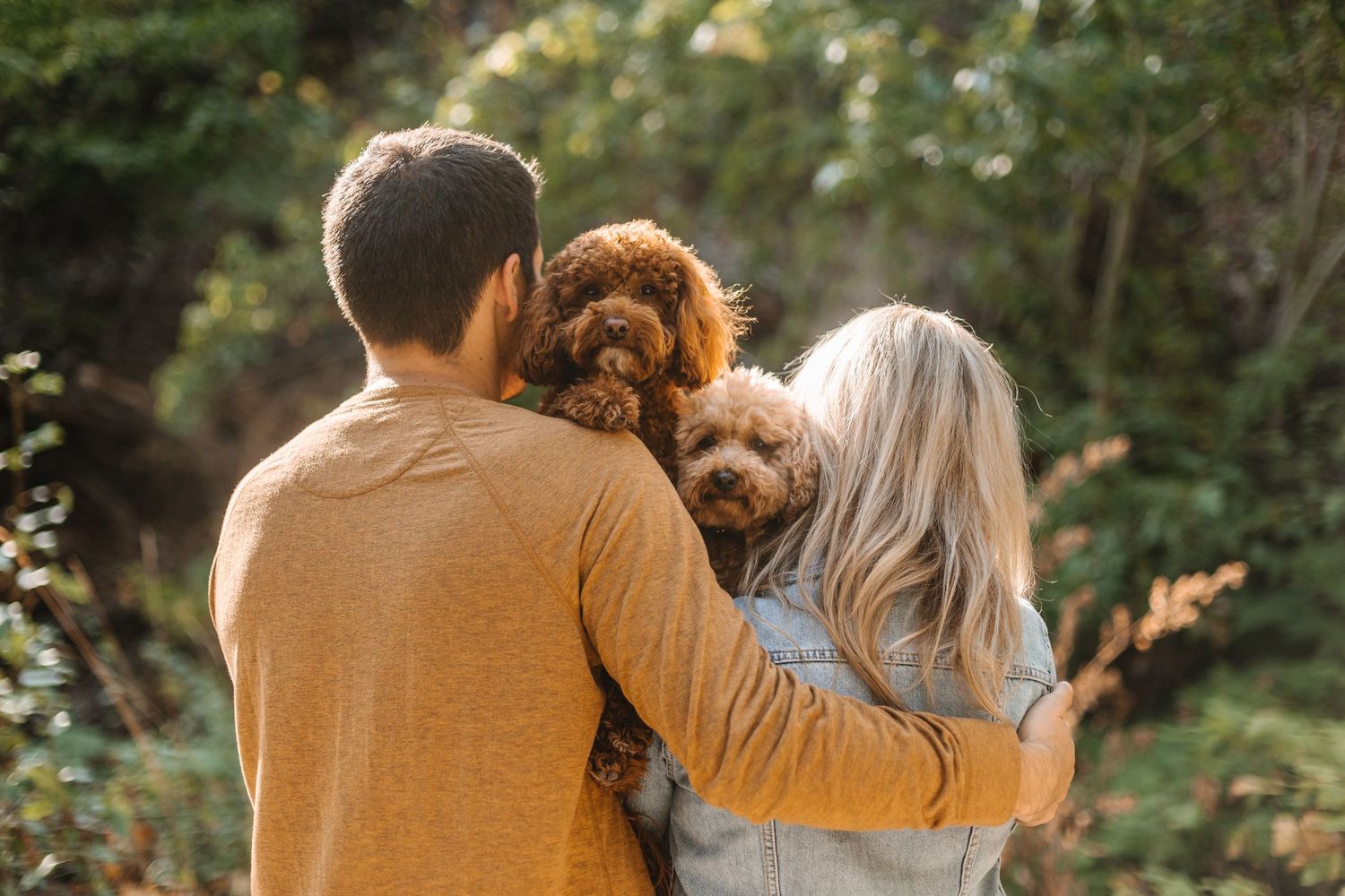 A couple embraces in a wooded outdoor setting with warm autumn lighting filtering through the trees.