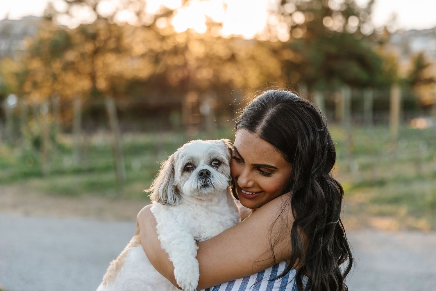 A small white dog is being held and cuddled while outdoors during sunset.