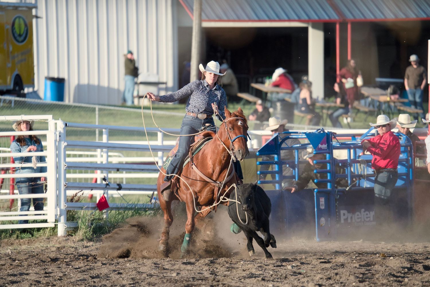 A competitive roping event at a rodeo arena shows contestants chasing a calf in front of bleachers filled with spectators.