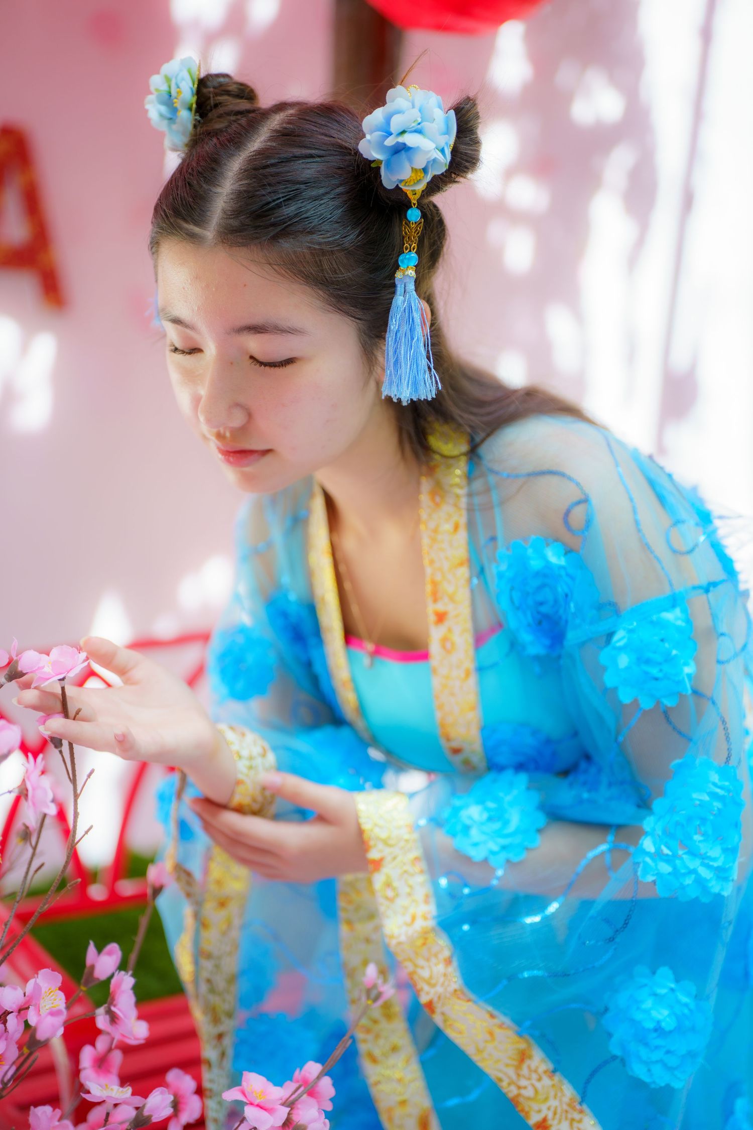 An elegant figure in traditional blue and gold hanfu dress with floral hair ornaments admires pink cherry blossoms.