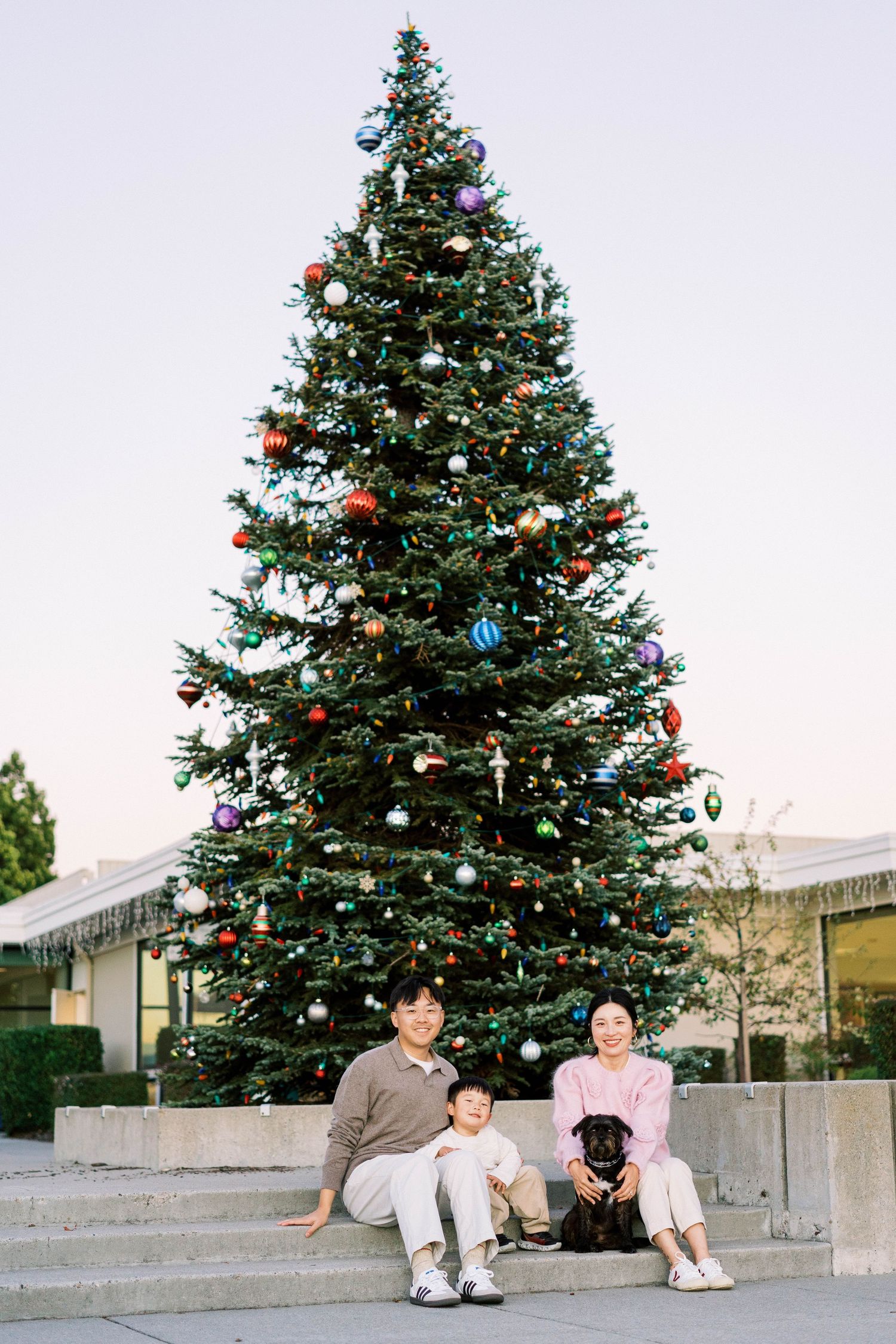 A tall decorated Christmas tree stands behind a family sitting on concrete steps with their black dog.