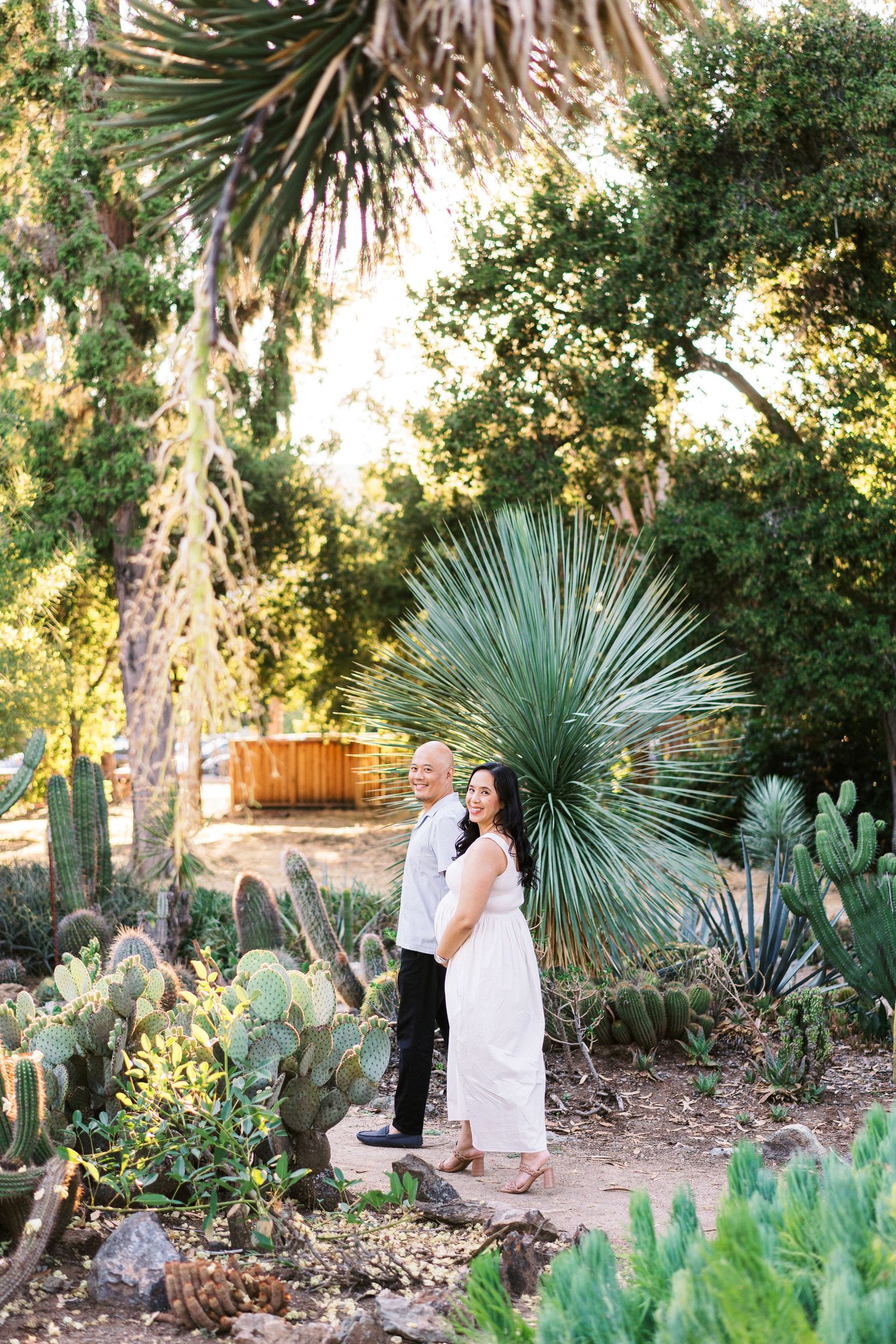 A couple shares a romantic moment in a lush desert garden with palm trees and cacti during golden hour.