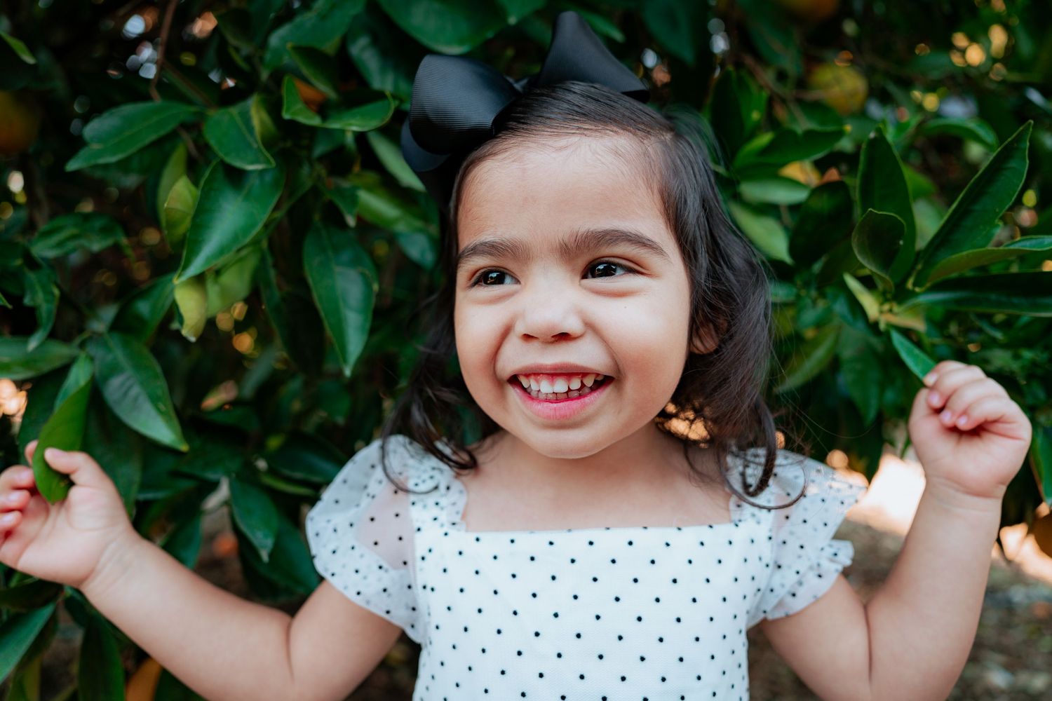 Child in polka dot dress plays joyfully among lush green foliage on a sunny day.