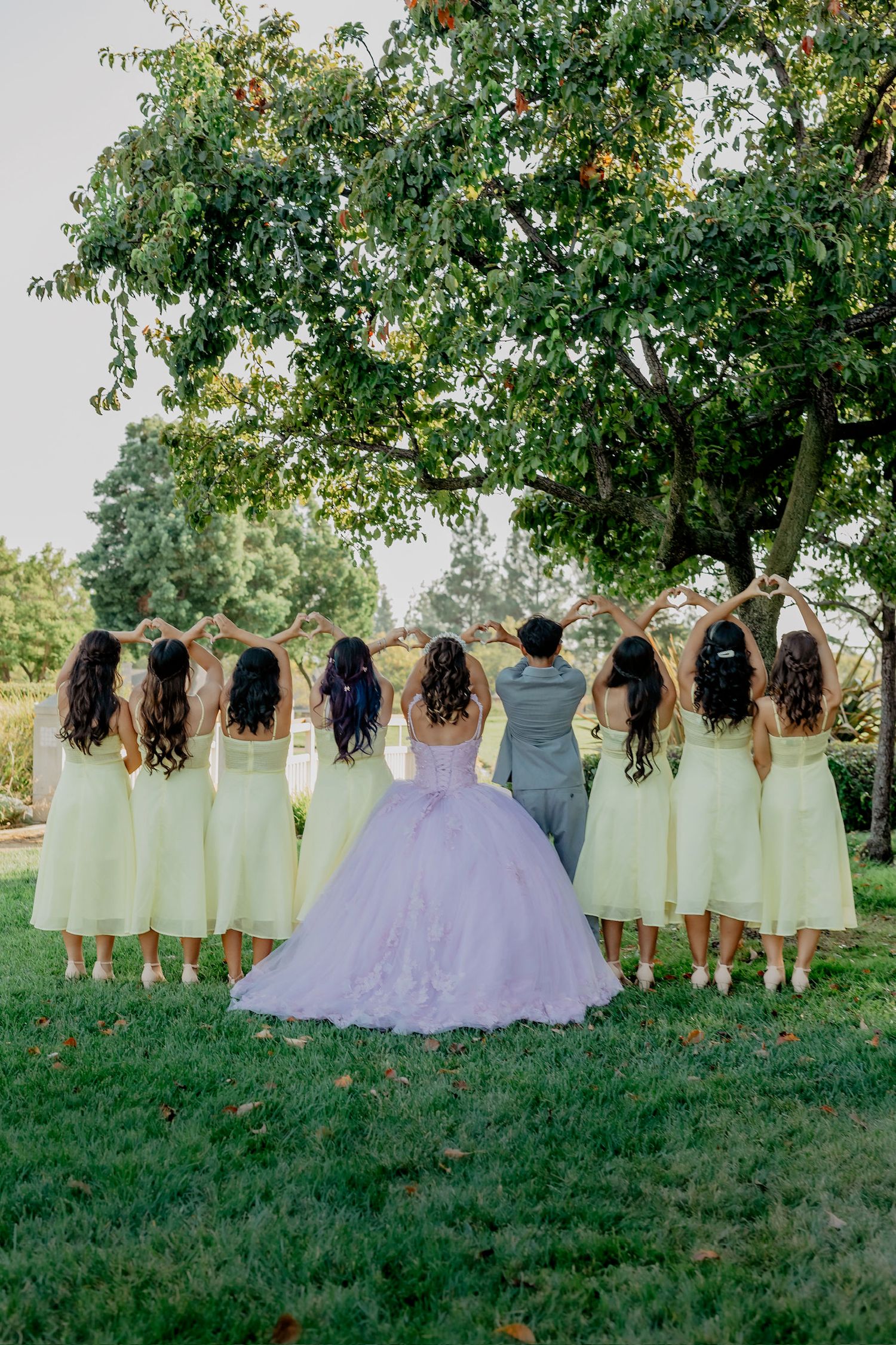 A wedding party in pastel dresses stands in a row beneath a leafy tree on a grassy hill.