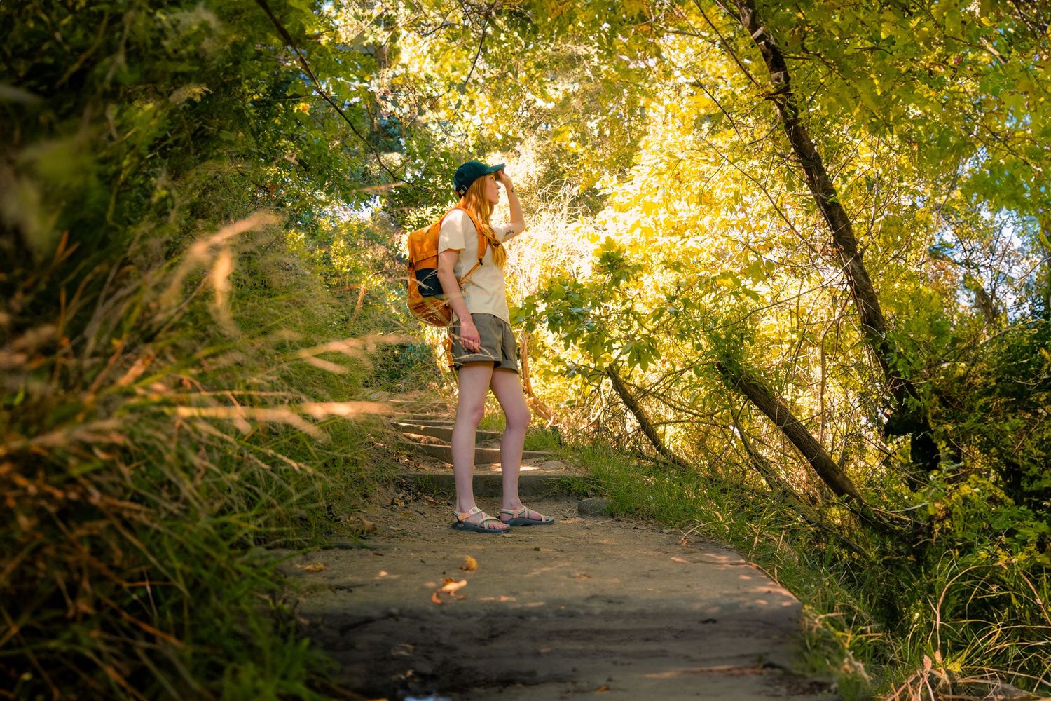 A person walks along a sunlit forest trail with golden light filtering through the tree canopy above.