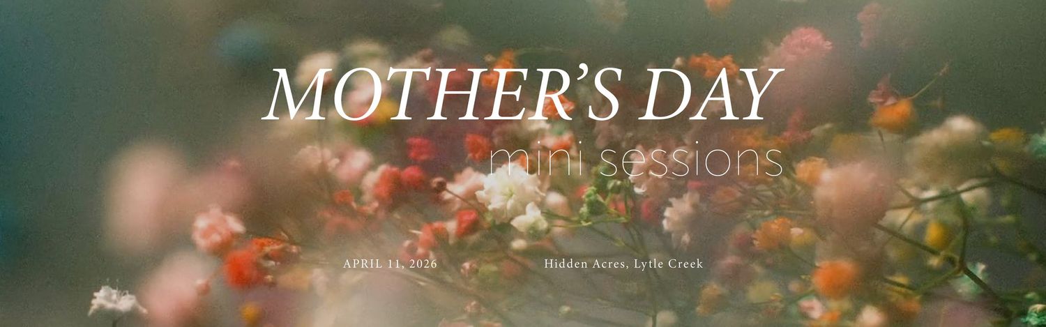 A floral Mother's Day banner with pink roses and warm bokeh lighting effects in the background.
