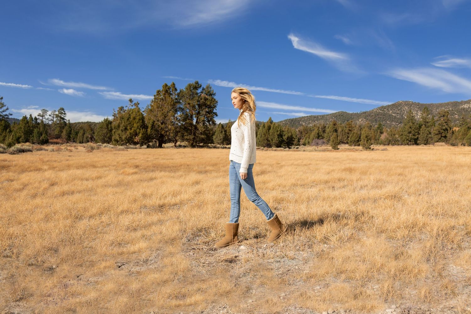 A person walks with a dog through golden grass fields against a backdrop of mountains and blue sky on a sunny day.