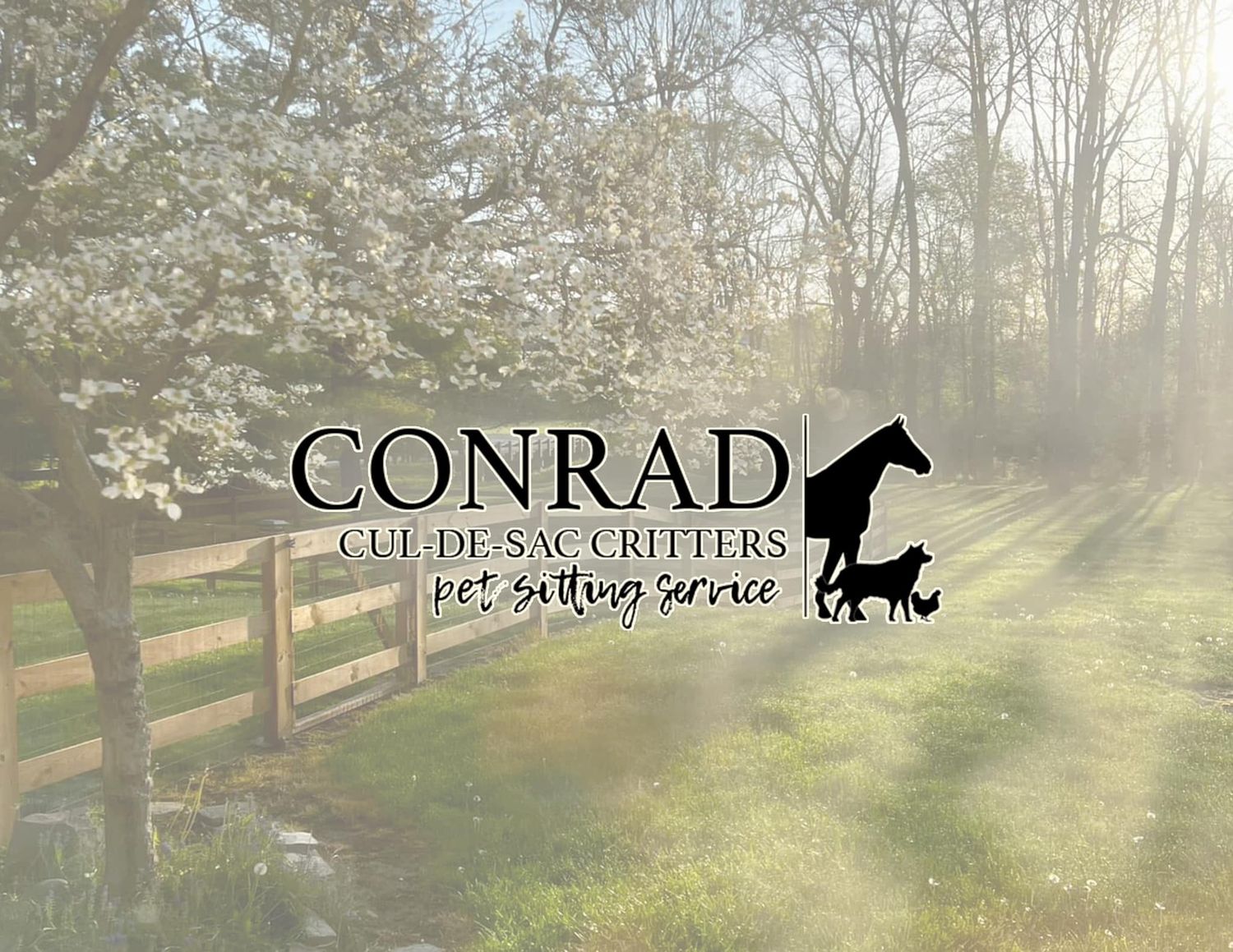 Misty forest landscape with sunlight streaming through trees and a black silhouette of a horse logo in the corner.