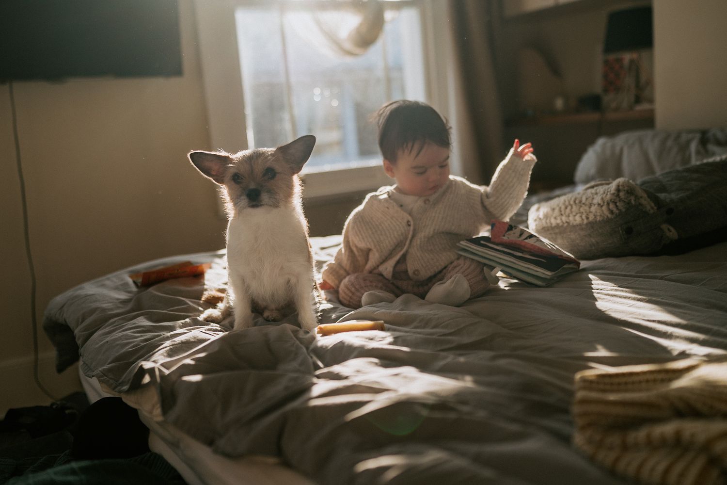 A small dog and child sitting together on an unmade bed in warm morning sunlight streaming through a window.