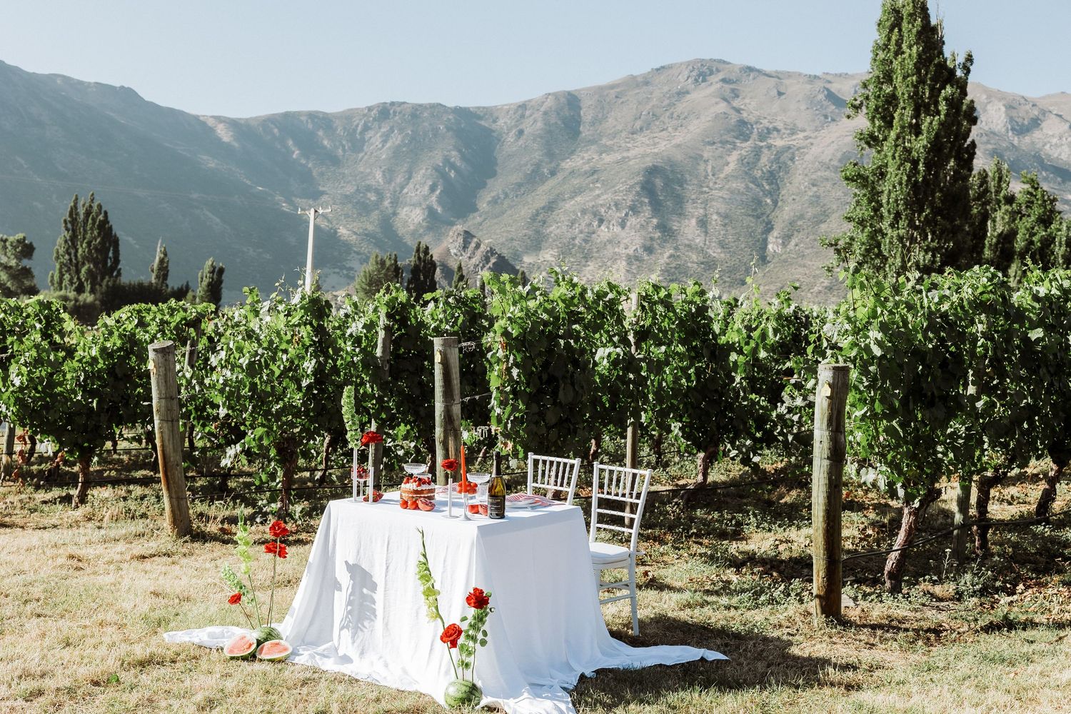 White linens hanging on clotheslines between trees in a mountainous orchard landscape with green foliage.