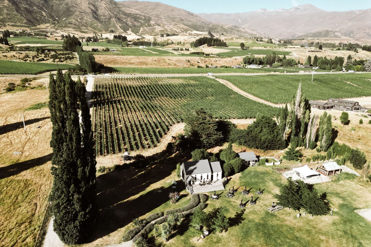 Scenic vineyard landscape with rolling hills and mountains in the background under clear blue skies.