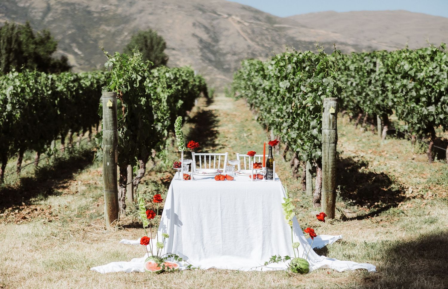 Rustic outdoor dining setup among grapevines with white tablecloths and red floral accents.
