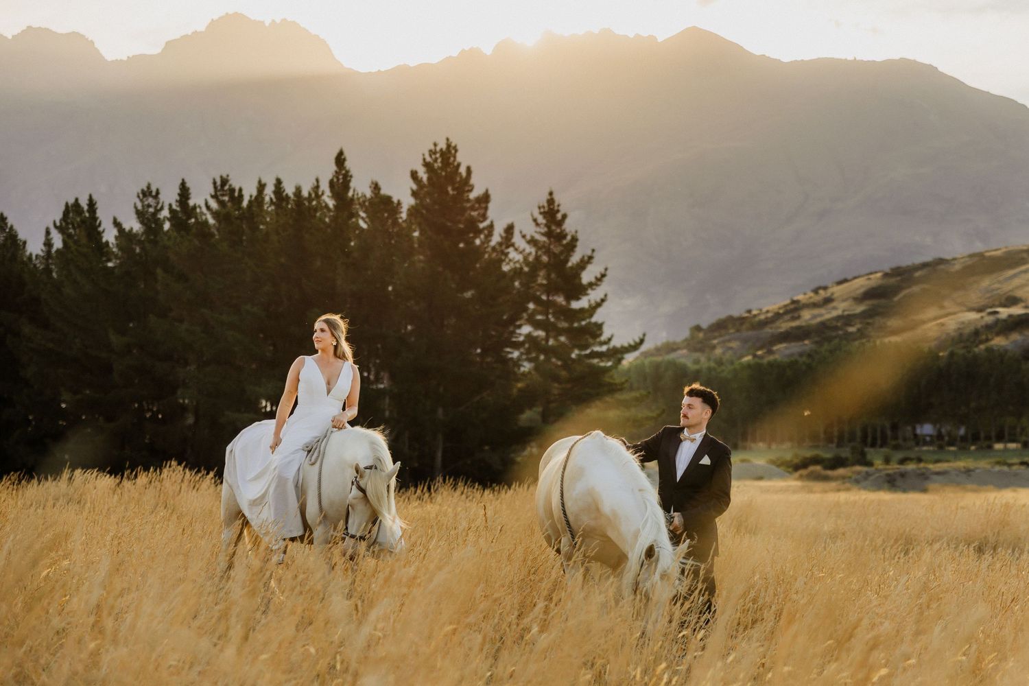 Two white horses stand with riders in a golden mountain meadow at sunset.