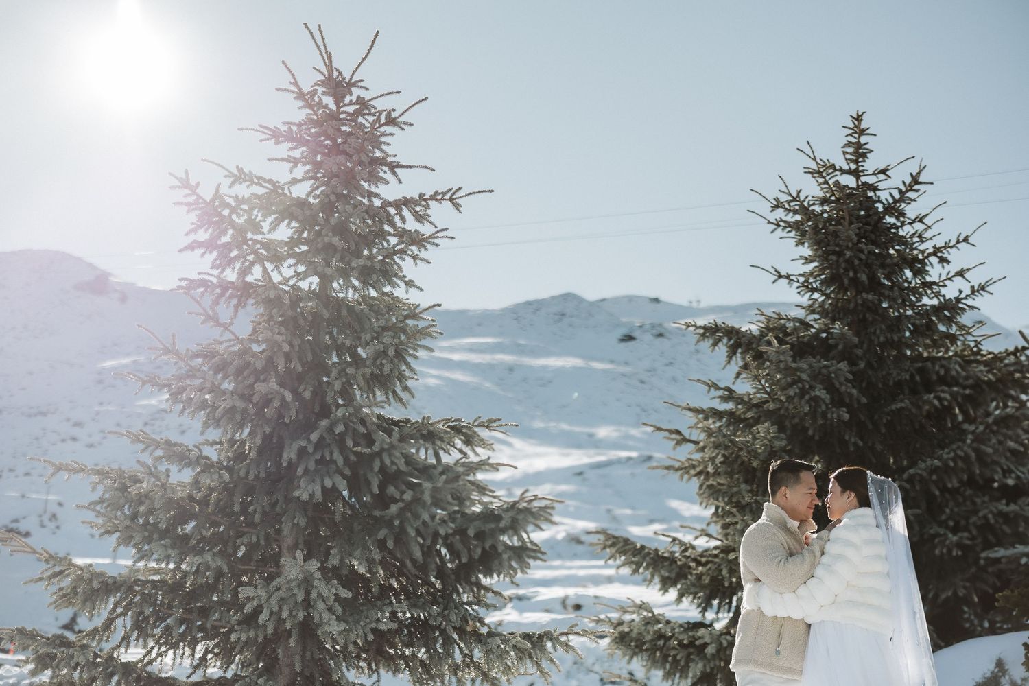 Snowy mountain landscape with evergreen trees and dramatic winter lighting.