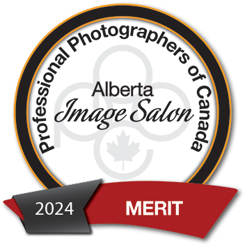 Merit award badge for the 2024 Alberta Professional Photographers of Canada Image Salon competition - Evan Will