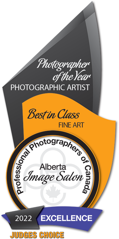 2022 Professional Photographers of Canada Excellence award for Best in Class Fine Art, featuring a dark grey and orange design - Evan Will