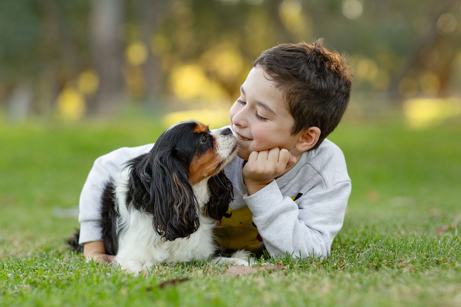 Beautiful bond between a boy and his best friend, his Cavalier King Charles Spaniel