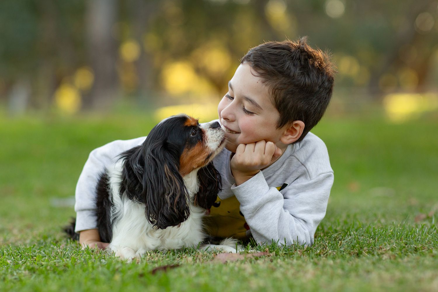 Dog and child sharing a special moment of connection together at golden hour in Perth