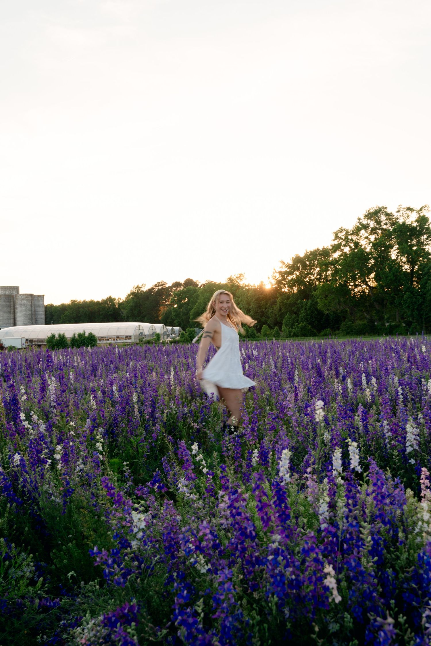 Blonde woman in white dress twirling in a vast purple lupine flower field at golden hour.