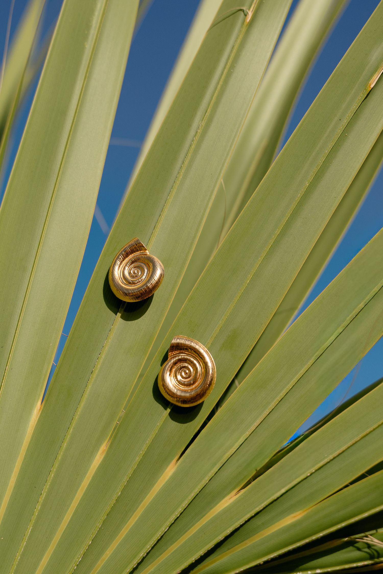 Two golden spiral snail shells resting on green palm fronds against a blue sky.