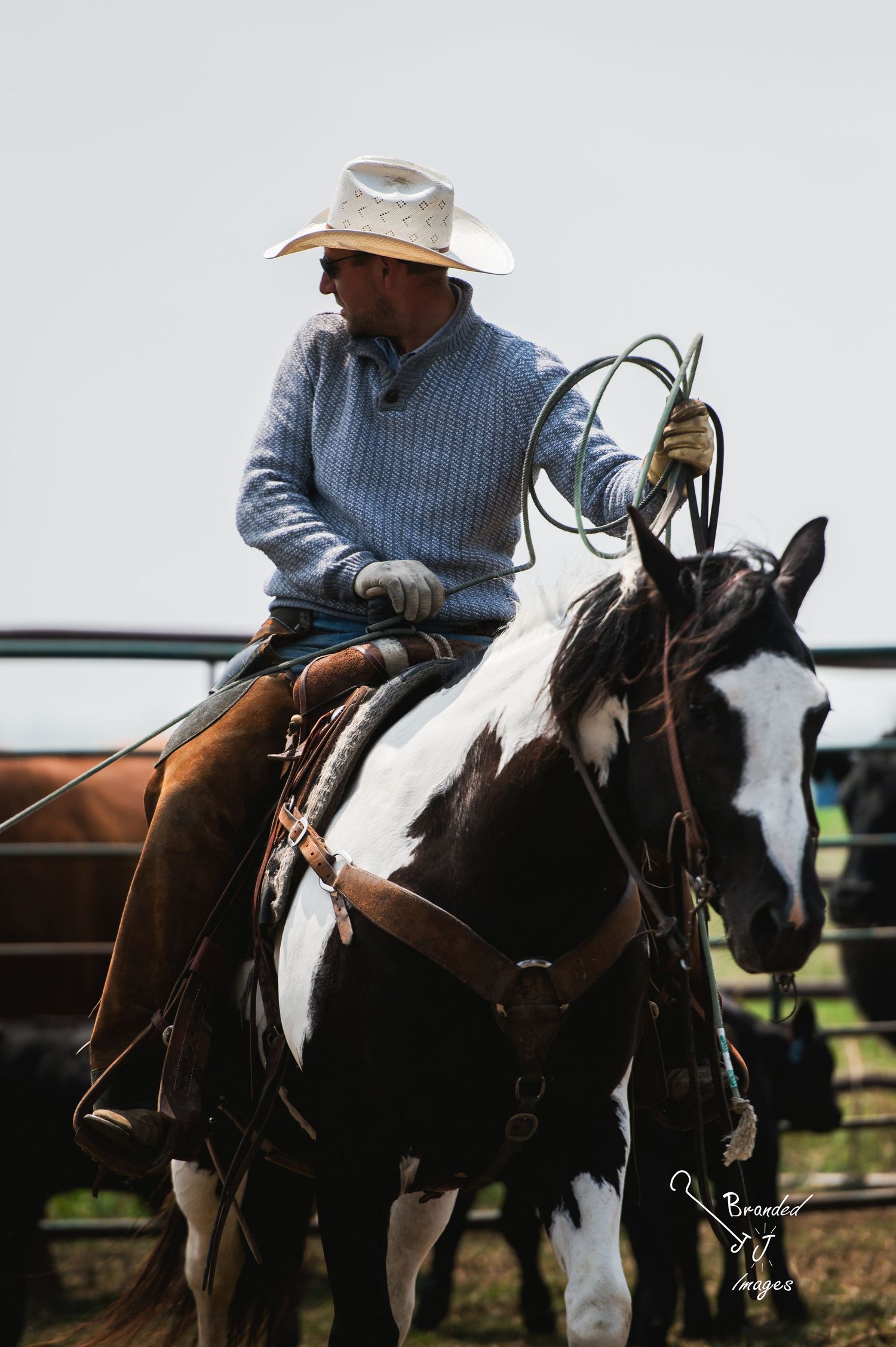 Cowboy on a paint horse swinging a lasso in a dusty ranch corral during cattle work.
