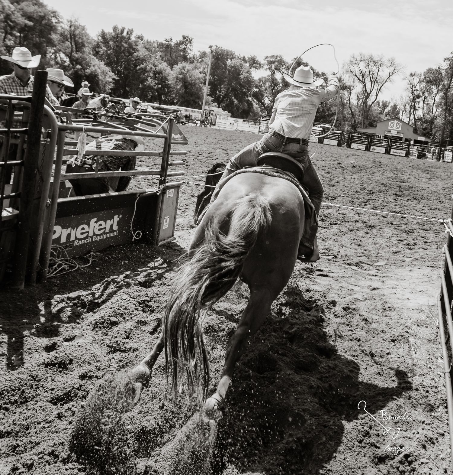 Black and white photo of a breakaway roper leaving the chute swinging a rope at a rodeo in a dirt arena.