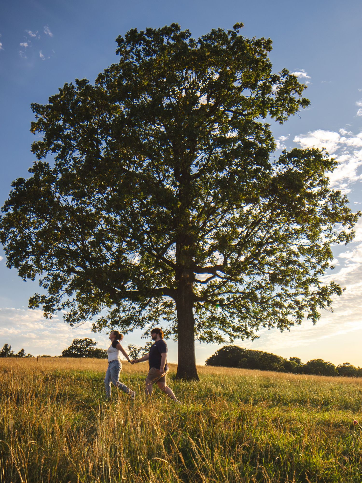 Couple holding hands in a golden meadow beneath a large oak tree at sunset.