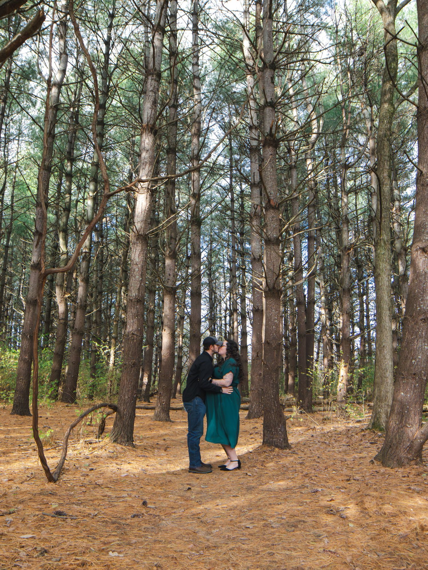 Couple sharing a romantic kiss surrounded by tall pine trees on a forest path with golden pine needle ground cover.