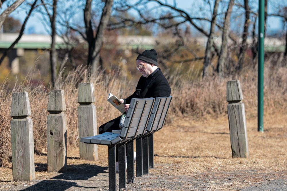 An elderly person sits alone on a wooden bench reading a book in a sunny autumn park.