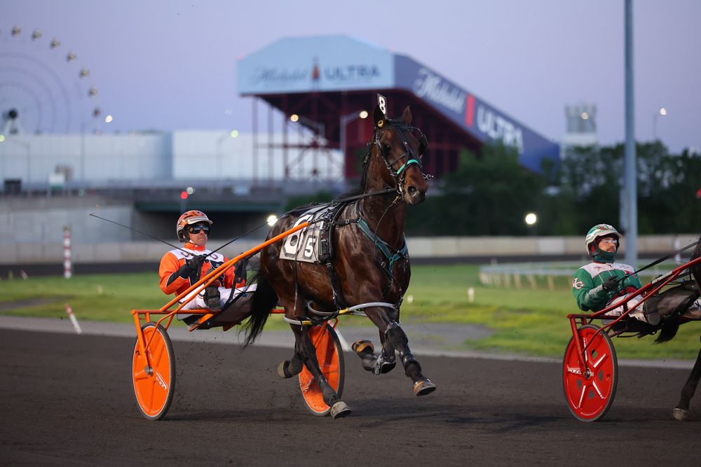 A harness racing horse and jockey compete on a track at dusk with stadium lights glowing in the background.