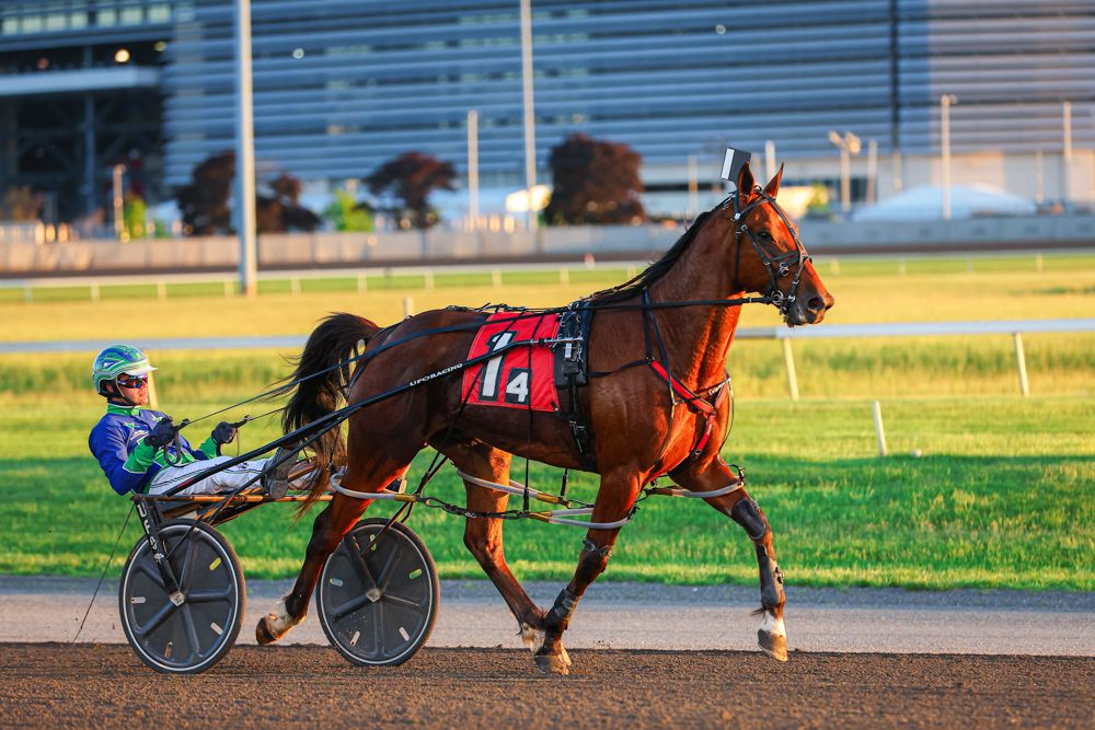 A harness racing horse numbered 14 trots on a track with a jockey in green helmet at golden hour.