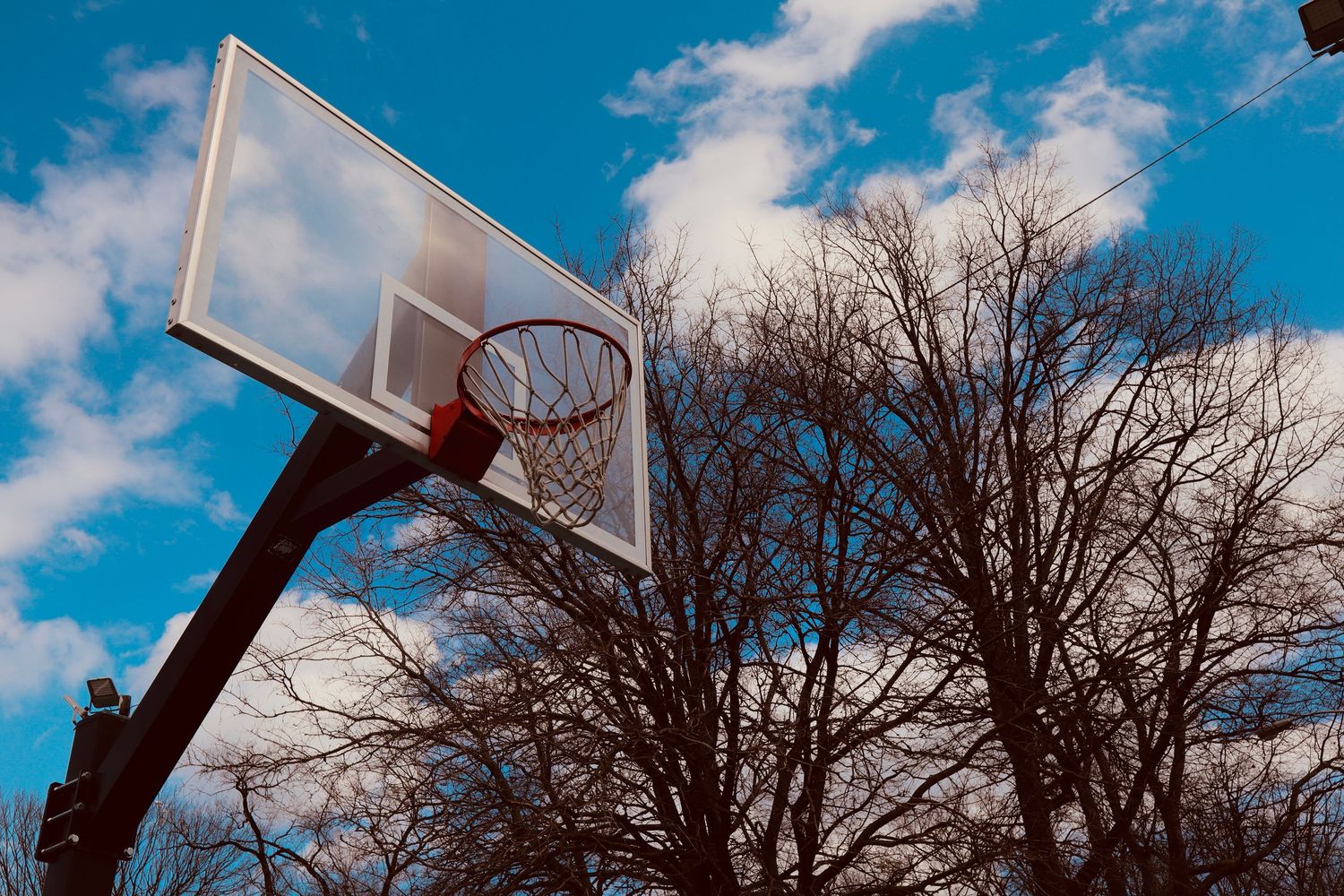 Low angle view of outdoor basketball hoop against vivid blue sky with bare winter trees.