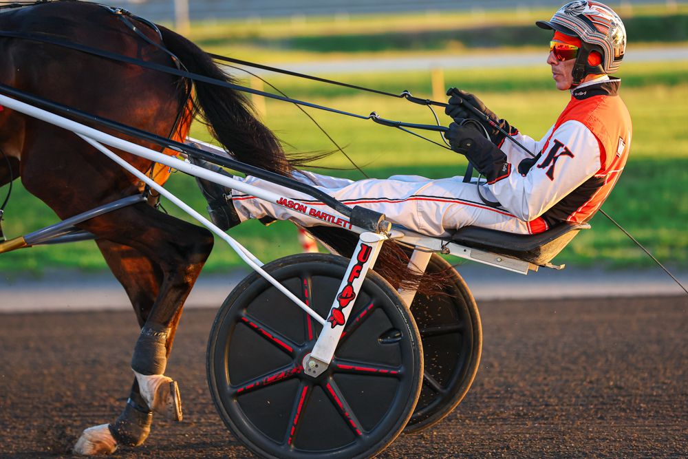 Harness racing driver in white and red uniform guides standardbred horse on sunny racetrack.