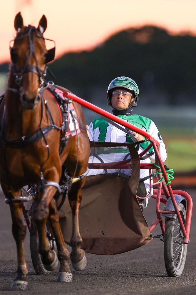 A harness racing driver in green and white silks rides a sulky pulled by a chestnut horse at dusk.