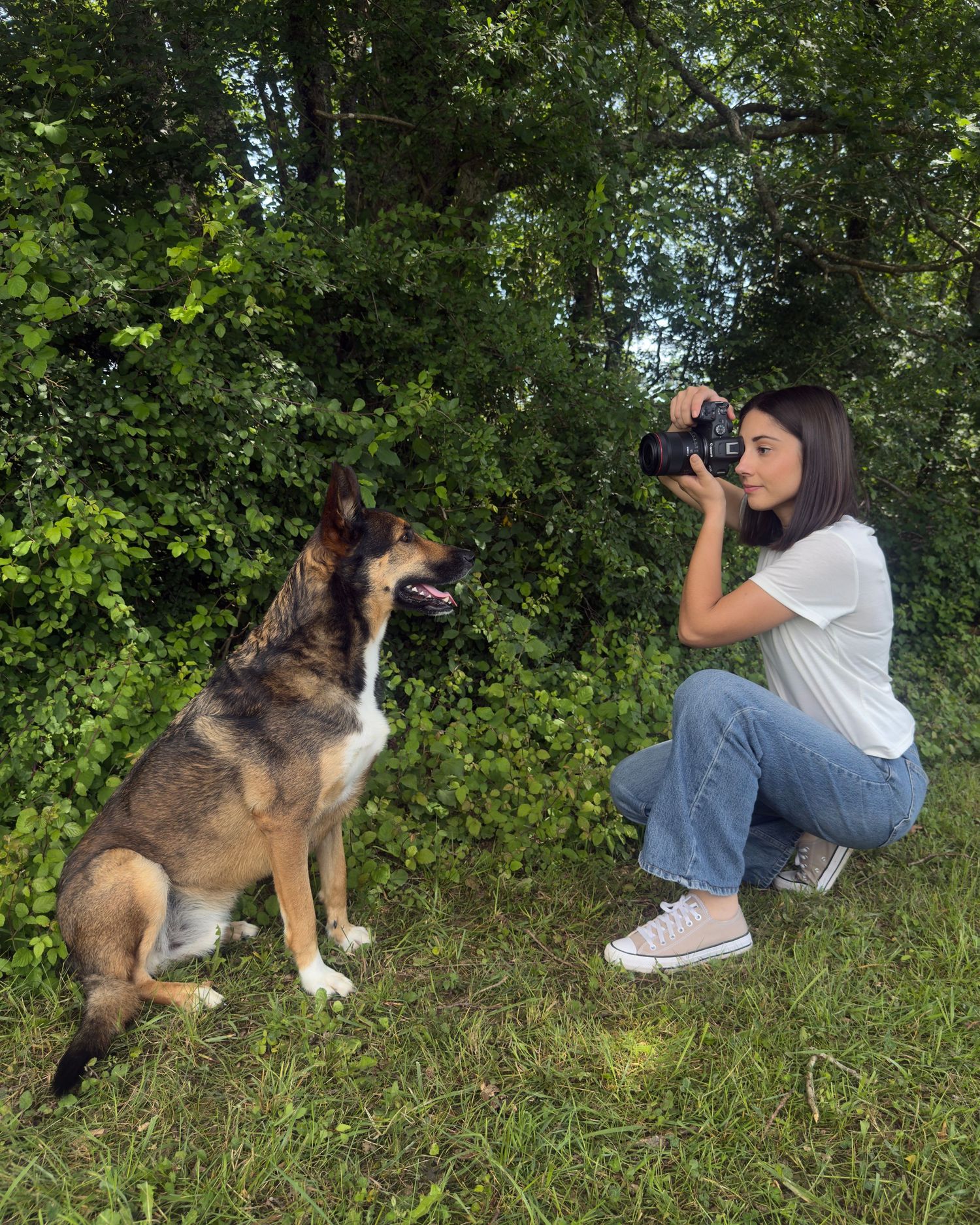 Photographe professionnelle portraitiste animalière, la photographie équine avec cheval et les photo chien. Pyrénées-atlantiques gironde