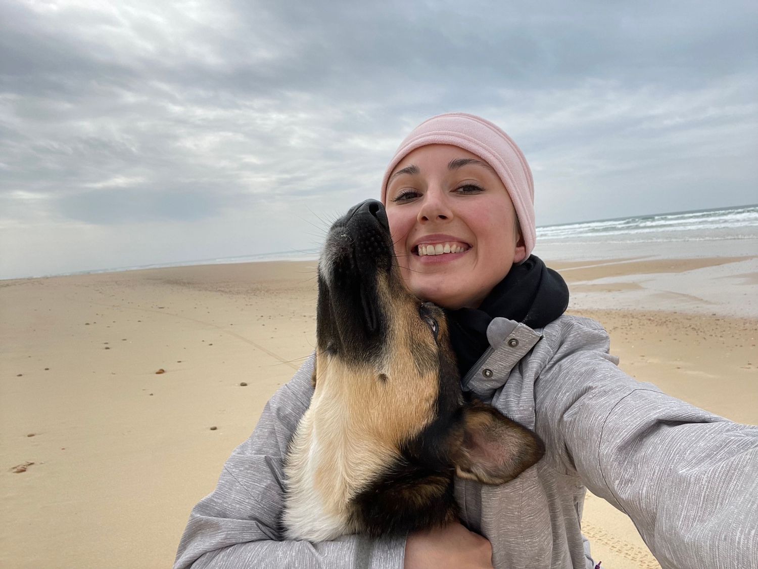 Photographe professionnelle portraitiste animalière, la photographie équine avec cheval et les photo chien. Pyrénées-atlantiques gironde