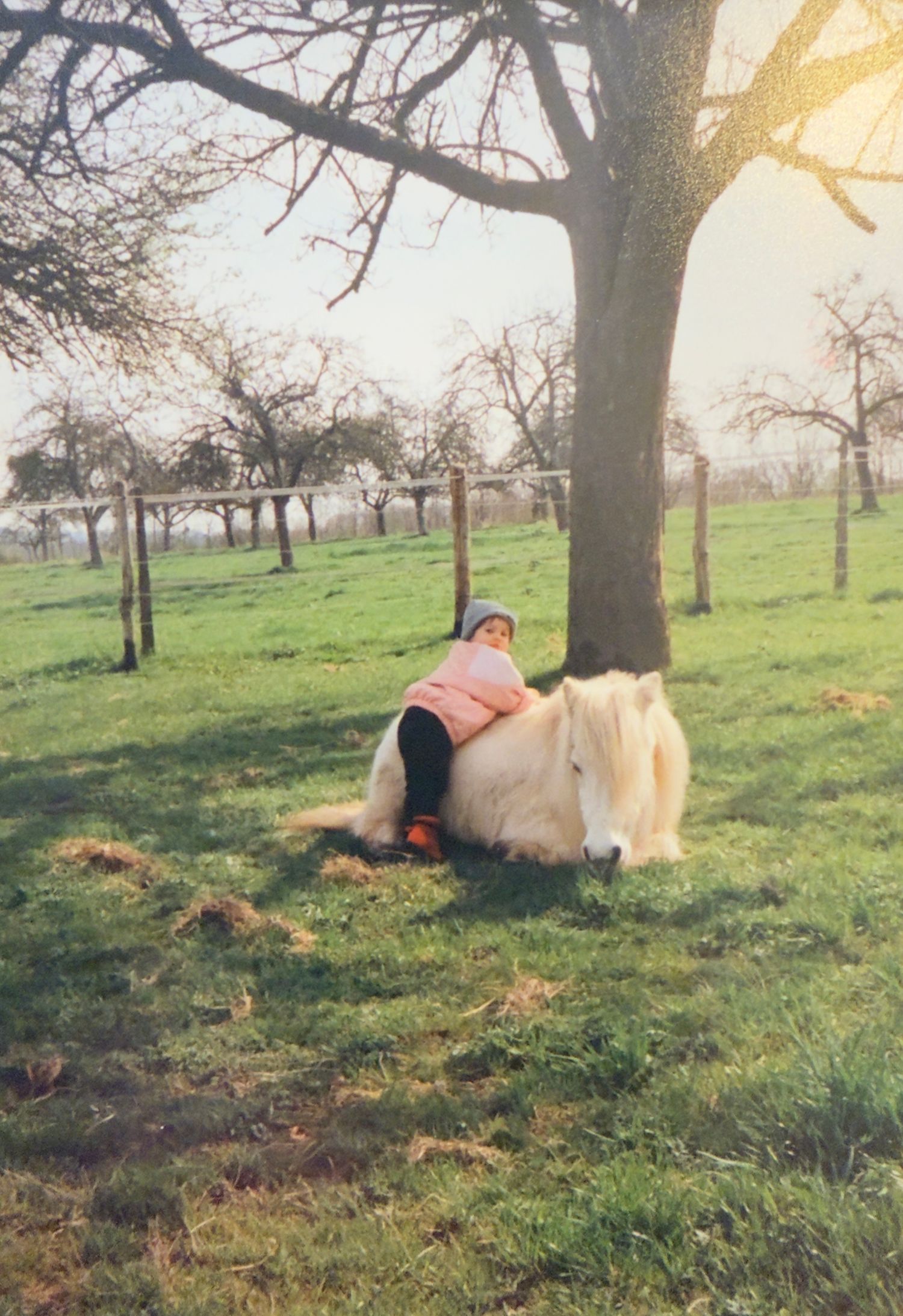 enfant cheval en gironde