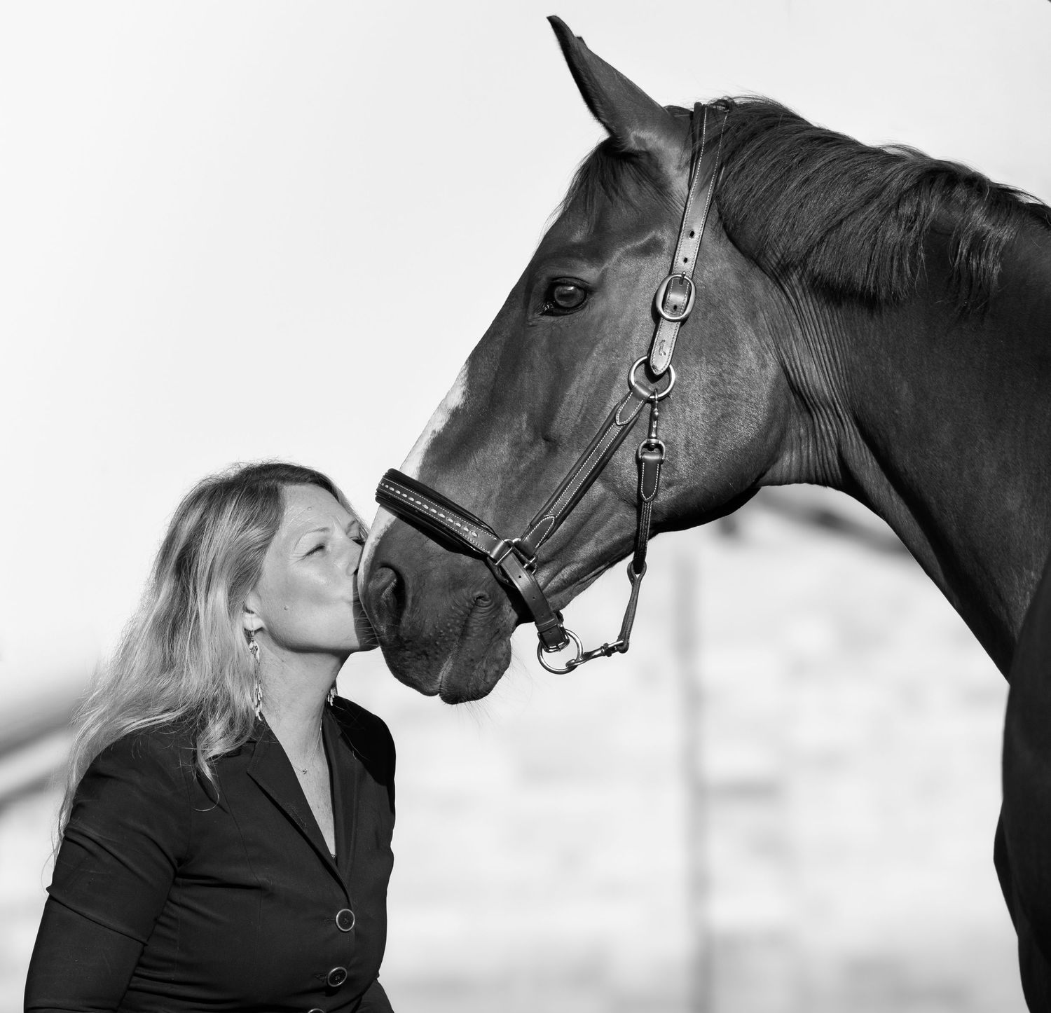 Photographe professionnelle portraitiste animalière, la photographie équine avec cheval et les photo chien. Pyrénées-atlantiques gironde