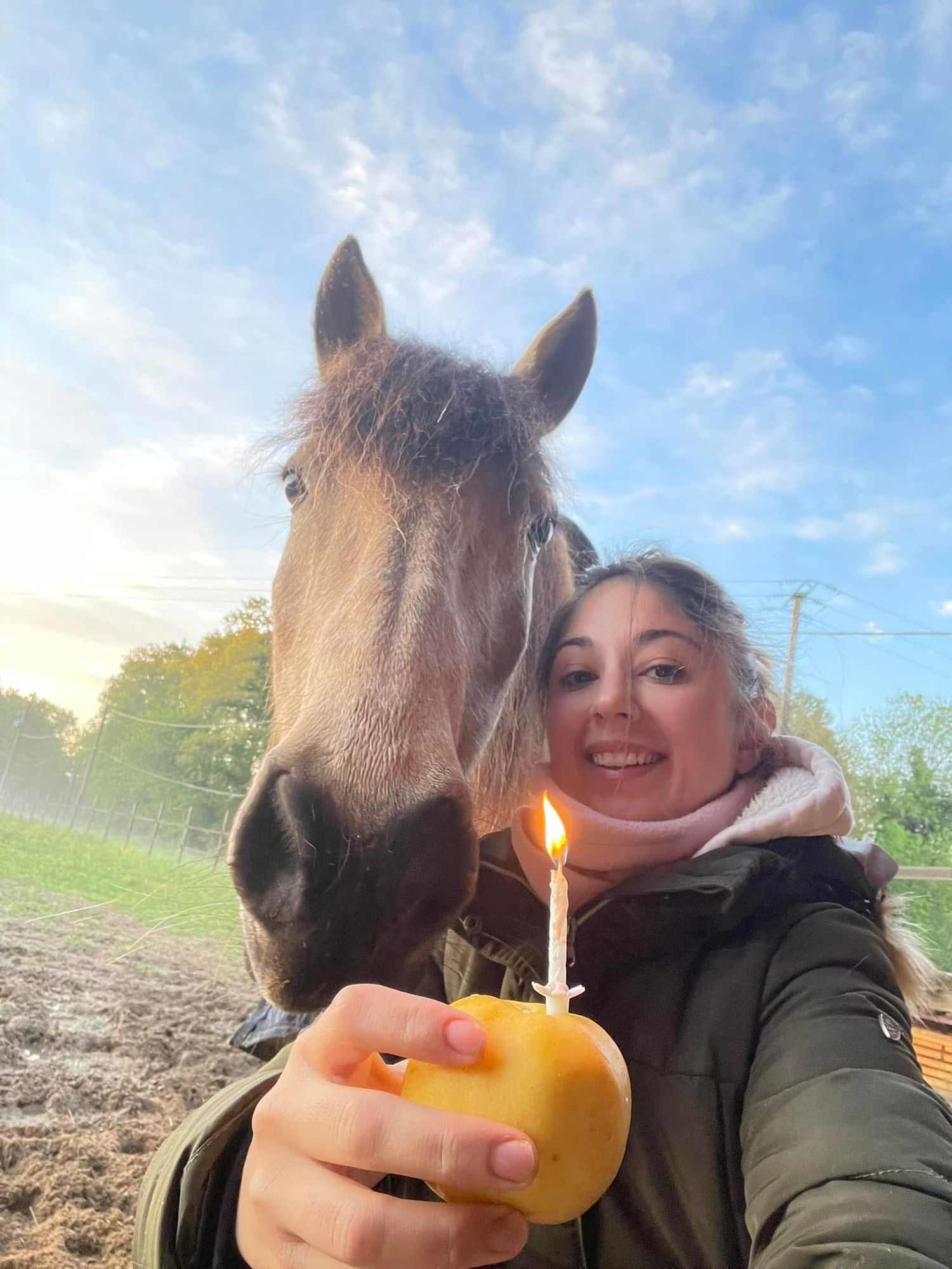 Photographe professionnelle portraitiste animalière, la photographie équine avec cheval et les photo chien. Pyrénées-atlantiques gironde