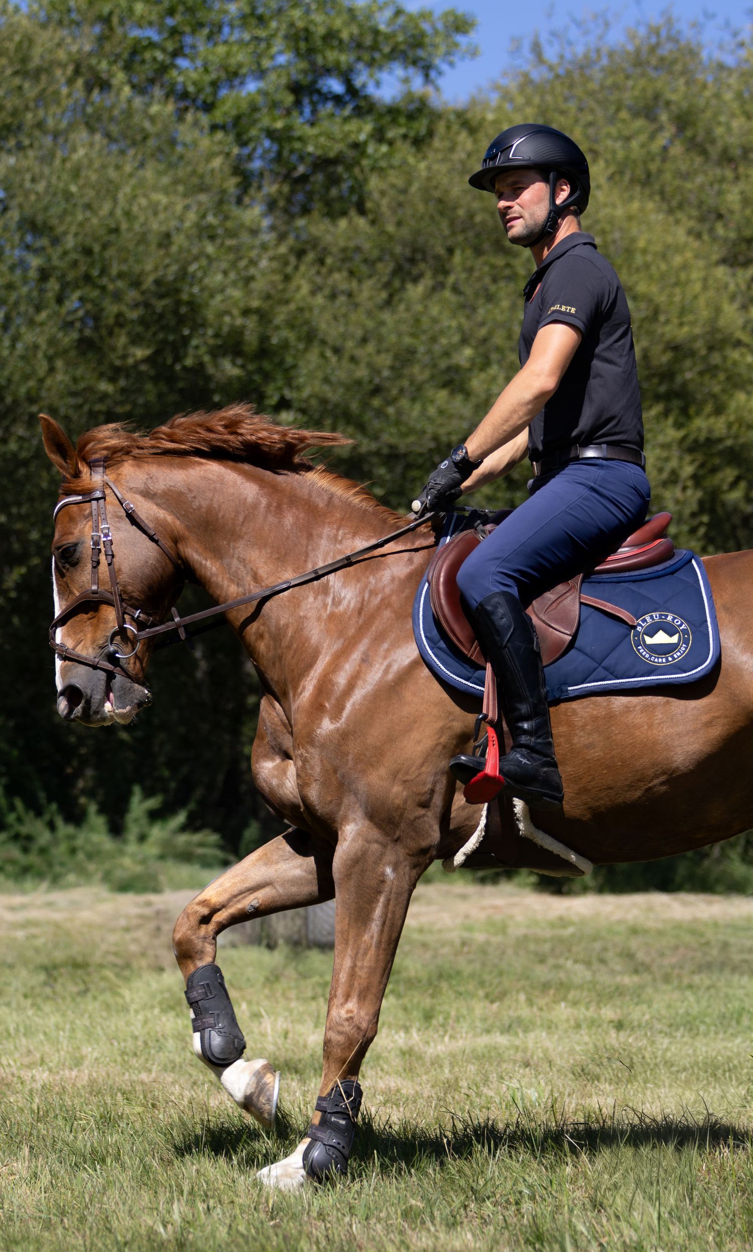 Photographe professionnelle portraitiste animalière, la photographie équine avec cheval et les photo chien. Pyrénées-atlantiques gironde