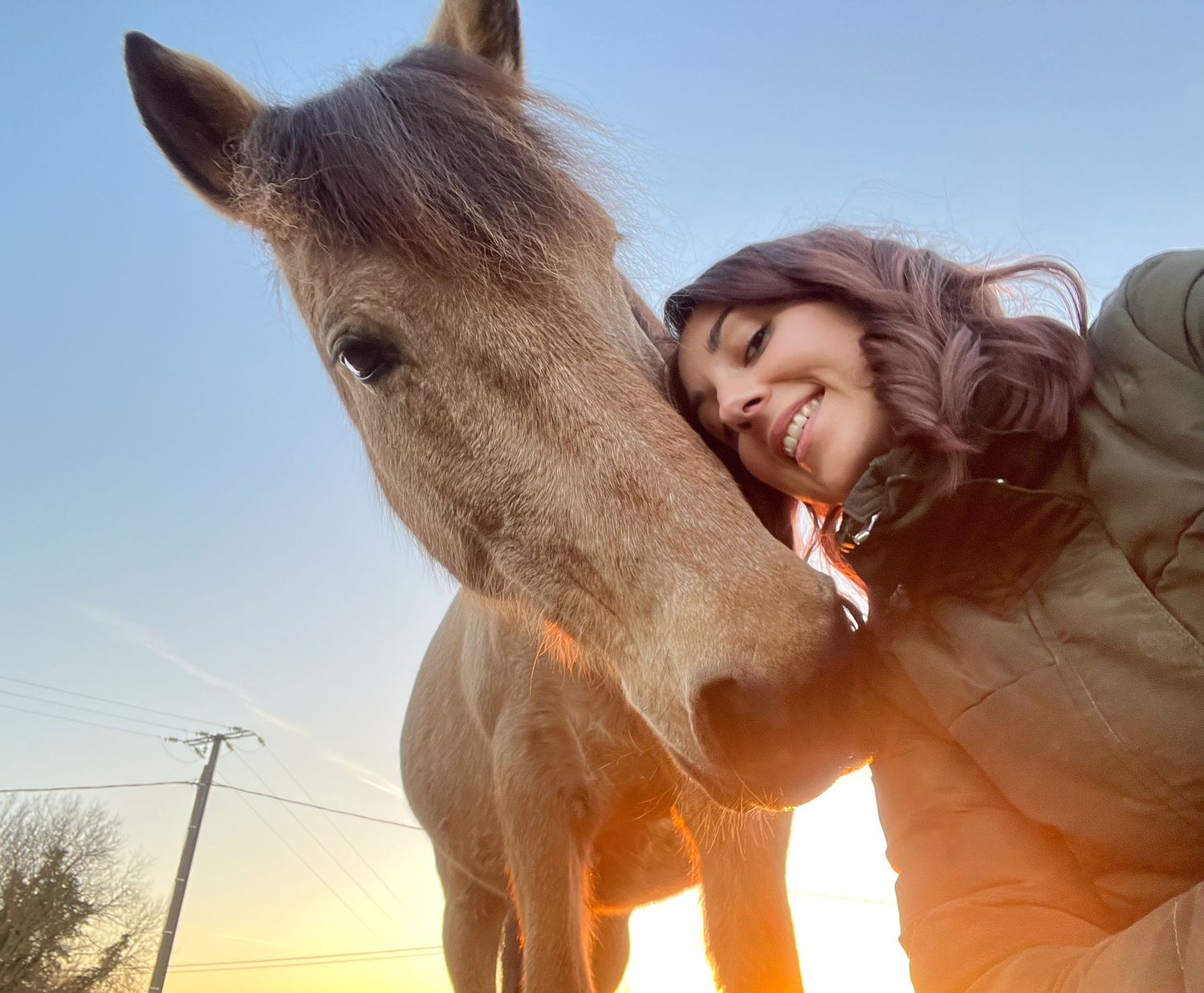 Photographe professionnelle portraitiste animalière, la photographie équine avec cheval et les photo chien. Pyrénées-atlantiques gironde