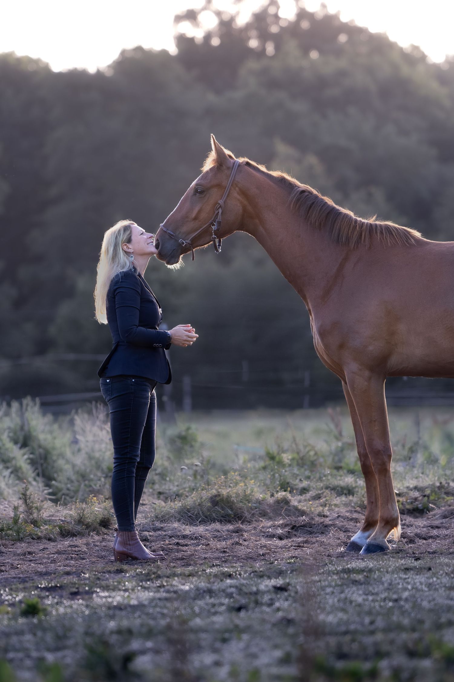 Photographe professionnelle portraitiste animalière, la photographie équine avec cheval et les photo chien. Pyrénées-atlantiques gironde