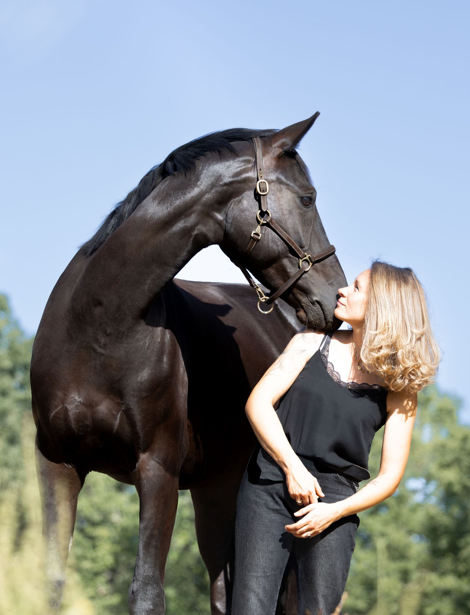 cheval et femme au soleil dans un champ à Bordeaux