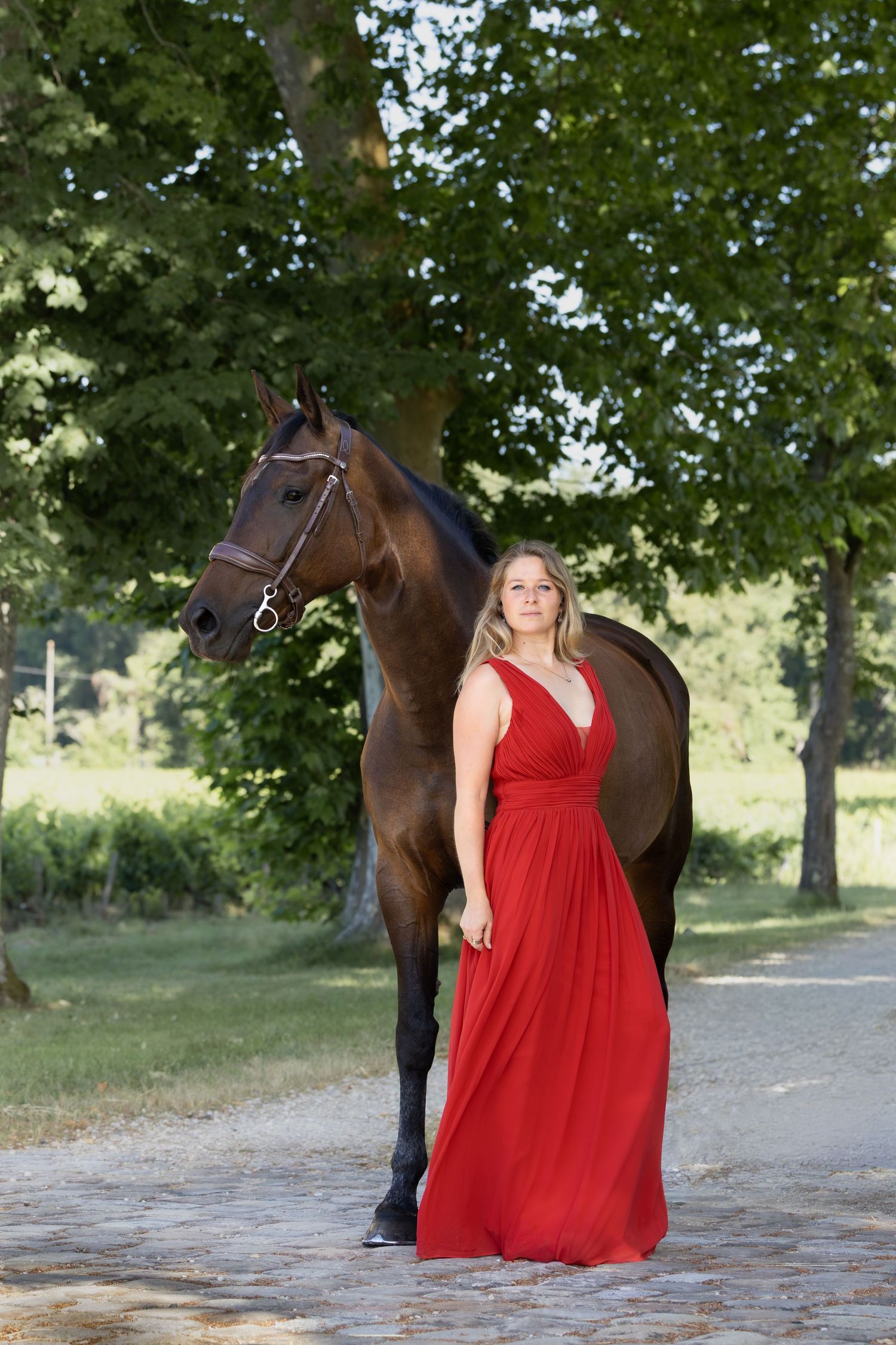 Photographe professionnelle portraitiste animalière, la photographie équine avec cheval et les photo chien. Pyrénées-atlantiques gironde