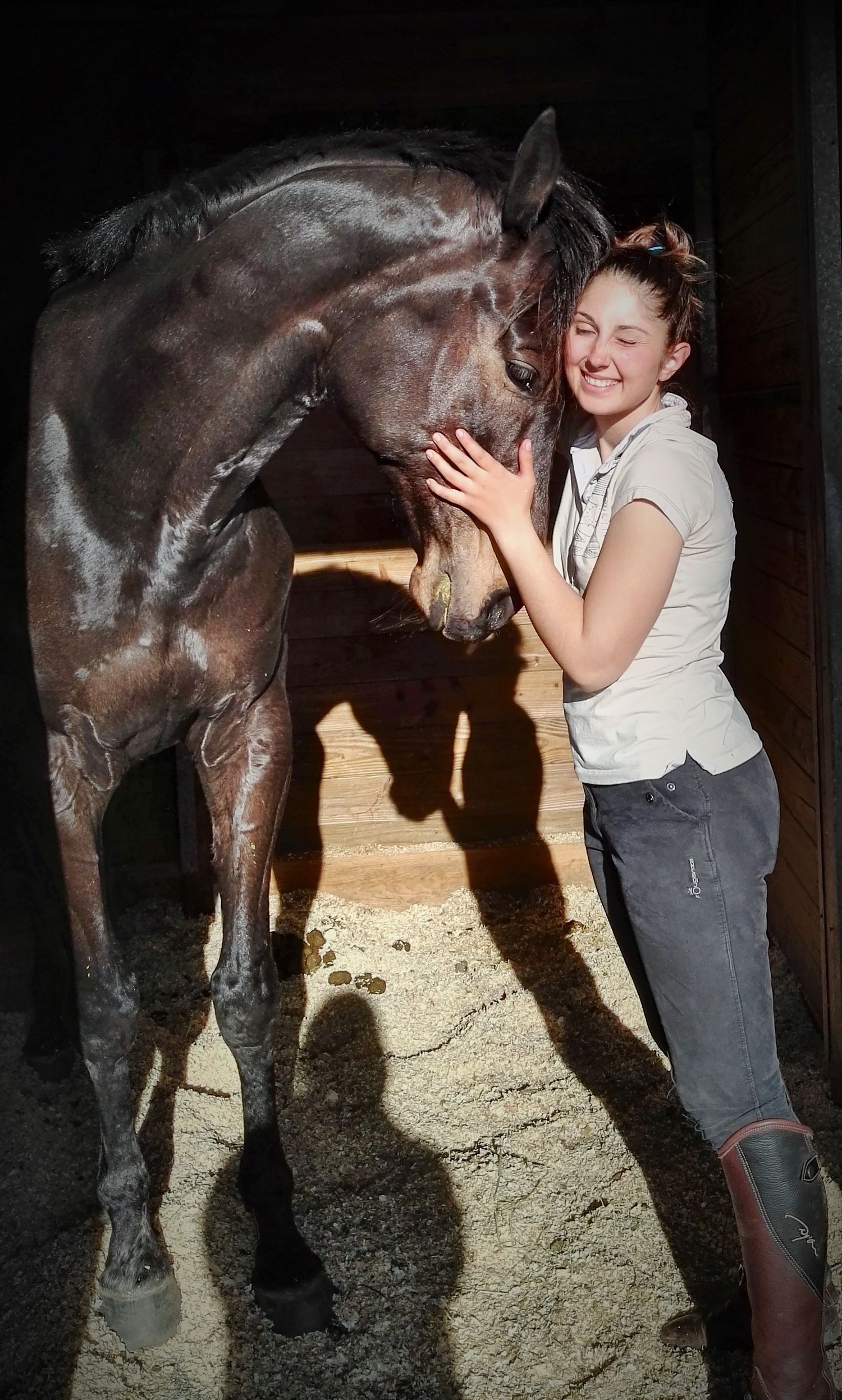 Photographe professionnelle portraitiste animalière, la photographie équine avec cheval et les photo chien. Pyrénées-atlantiques gironde