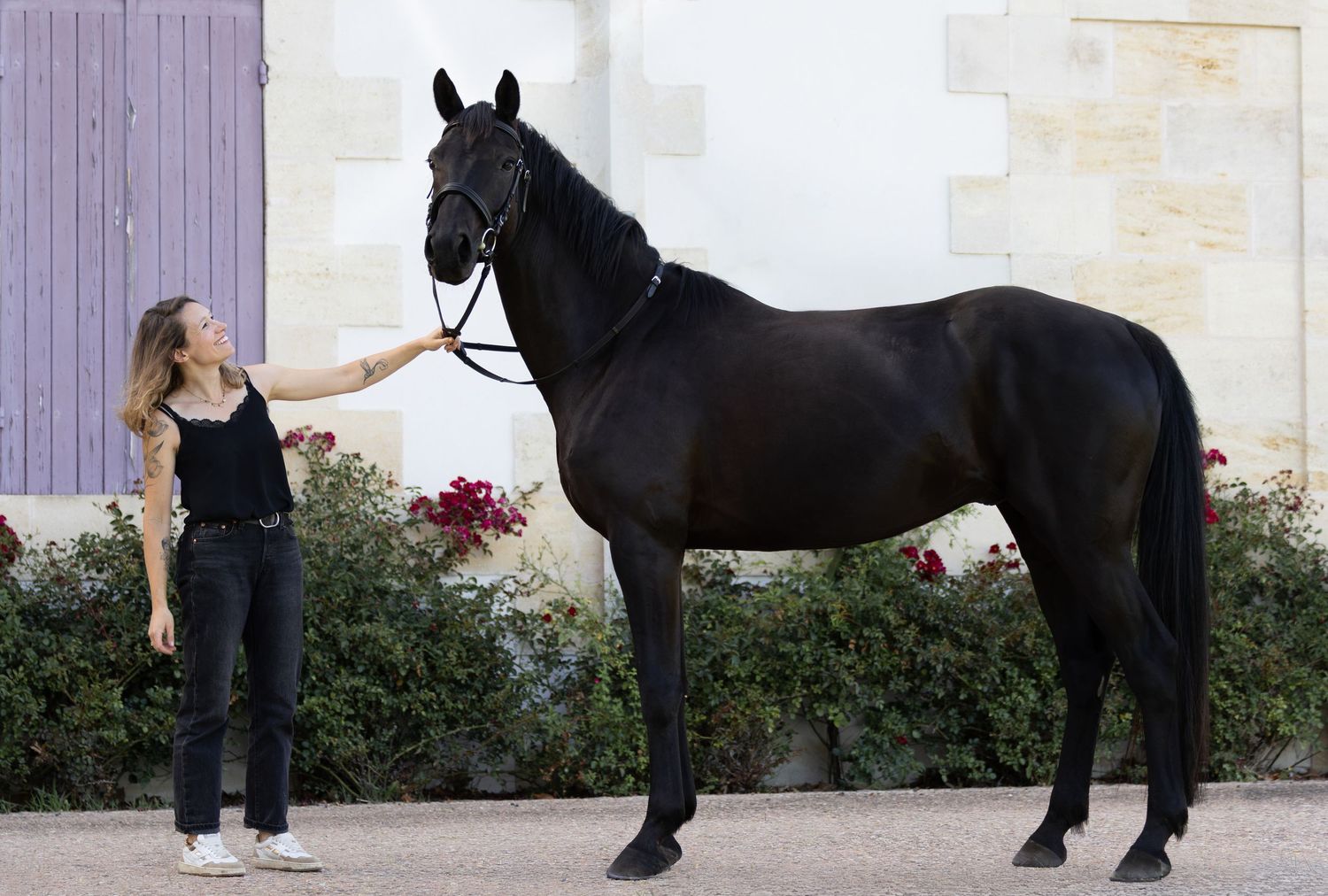 Portrait d'un cheval noir à Pau